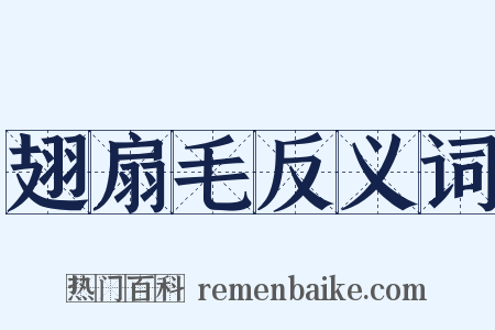 翅扇毛反义词是什么意思的图片